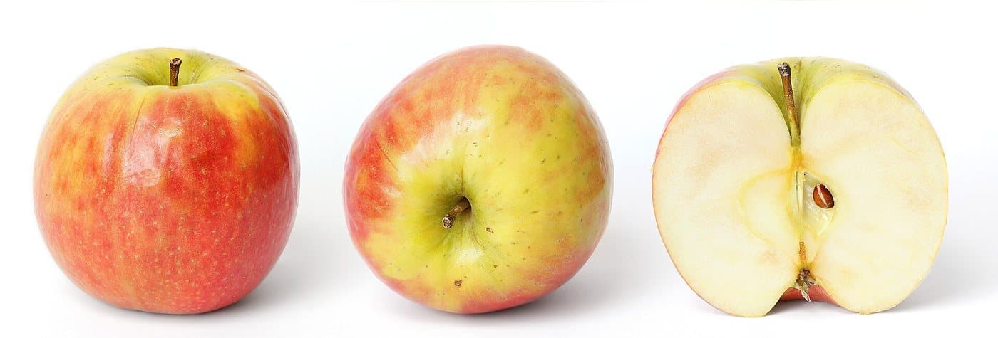 Foto van Appel (Malus domestica)